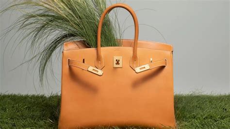 hermes birkin average cost|hermès Birkin price.